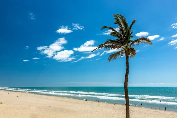 Brezilya 'nın Fortaleza şehrindeki Aquiraz bölgesinde Porto das Dunas plajı. Güney Amerika.