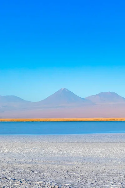 Lagune Von Cejar Und Vulkan Licancabur Der Atacama Chile Südamerika — Stockfoto