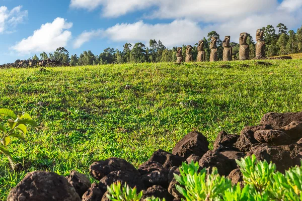 Siete Ahu Akivi Moai Que Son Los Únicos Moai Que —  Fotos de Stock