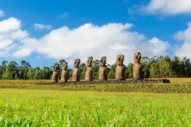 Seven Ahu Akivi Moai, which are the only Moai to face the sea. Easter Island. Chile. clipart