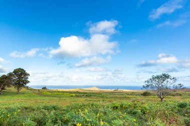 Paskalya Adası, Rapa Nui. Şili. Harika bir yer..