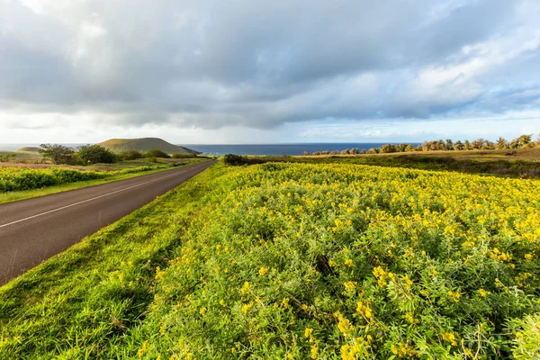 Estrada Ilha Páscoa Rapa Nui Chile Lugar Incrível — Fotografia de Stock