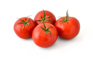 Lezzetli iştah açıcı domates yeşil dallar üzerinde beyaz bir arka plan üzerinde büyüdü