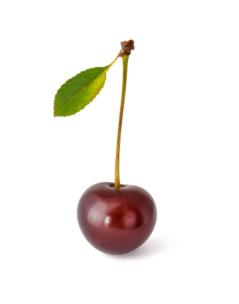 Cereza Madura Con Hoja Verde Sobre Pastel Con Fondo Blanco — Foto de Stock