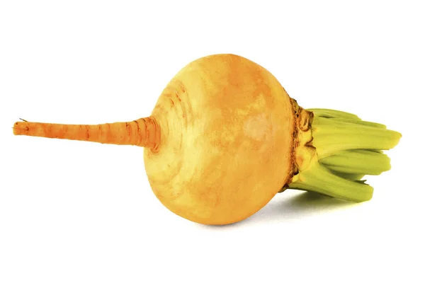 Fruit Fresh Turnip Tail Leaves White Background — Stock Photo, Image