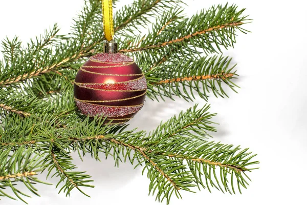 Main Féminine Avec Cloche Rouge Et Sapin De Noël