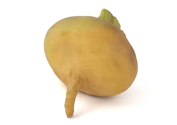 Ripe fruit turnip — Stock Photo, Image