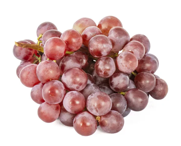 Ramo de uvas rojas jugosas maduras — Foto de Stock