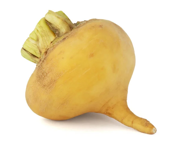 Ripe yellow turnip on white — Stock Photo, Image