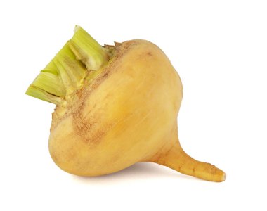 Üst yeşil kuyruk ile şalgam sarı kök kırpma