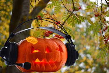 Parlak gözlü ve sarı yapraklı neşeli bir balkabağı. 