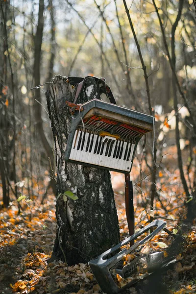 An old broken accordion left in the autumn forest. Abandoned musical instruments, music art problems, forgotten things or rarity concept.