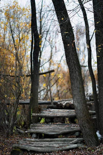 Старый Деревянный Пешеходный Мост Лесу Реки Осенний Пейзаж Желтыми Листьями — стоковое фото