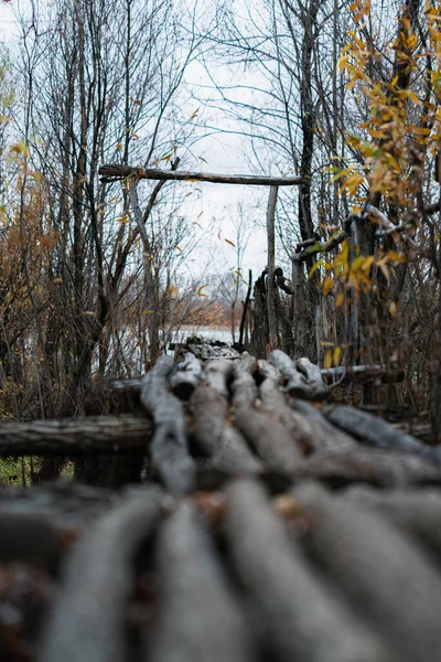 Vieille Passerelle Bois Dans Forêt Près Rivière Paysage Automne Avec — Photo