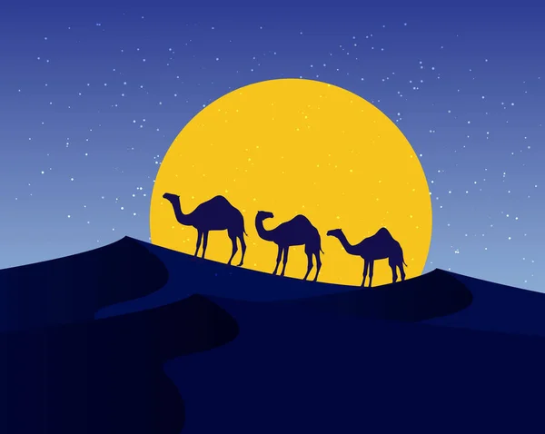 Öken Landskap Med Kameler Silhuetter Med Månen Vektor Illustration — Stock vektor