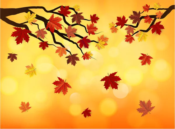 Düşen yapraklarla sonbahar arkaplanı ve metin için yer