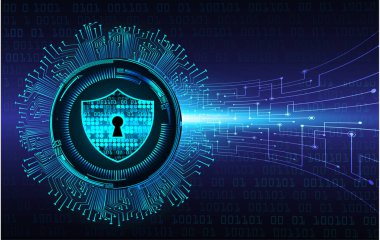 veri koruması ile siber güvenlik kavramı