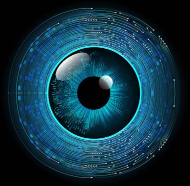 İnsan kullanıcısının gözü