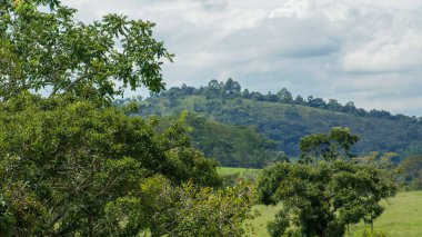 Brezilya 'nın Minas Gerais eyaletinde bir çiftlik manzarası