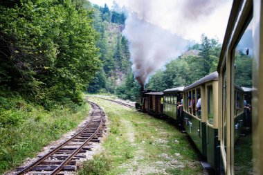 Viseu de Sus, Romanya - 17 Ağustos 2017: Mocanita Treni Görünümü, Maramures County, Romanya'da bir buharlı tren
