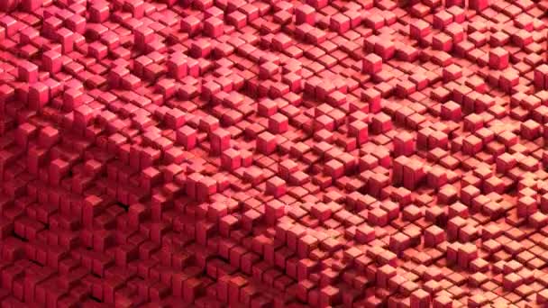 Кубический красный фиолетовый пиксель анимированный низкий фон поли — стоковое видео
