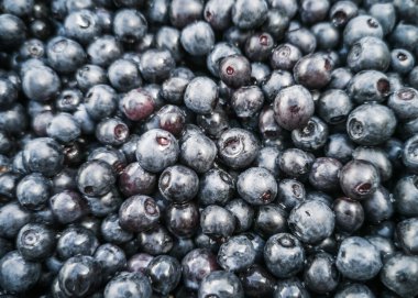 Taze yaban mersini arkaplanı. Doku yaban mersini yakından geliyor.