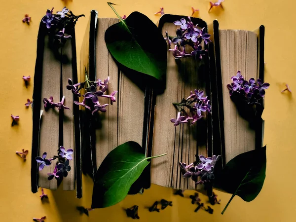 Egy Halom Könyv Virágokkal Levelekkel Egy Sárga Asztalon — Stock Fotó
