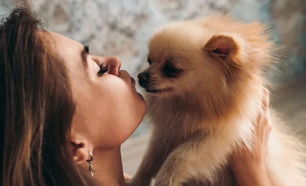 Roztomilé Mladé Brunetky Dívka Políbí Její Pomeranian Spitz Pes Koncept — Stock fotografie