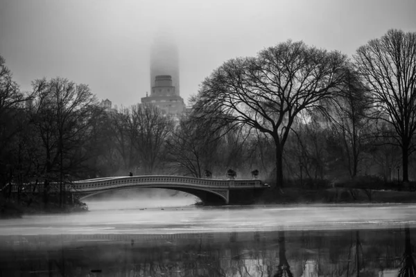 Vinter Scen Central Park New York — Stockfoto