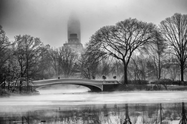 Vinter Scen Central Park New York — Stockfoto