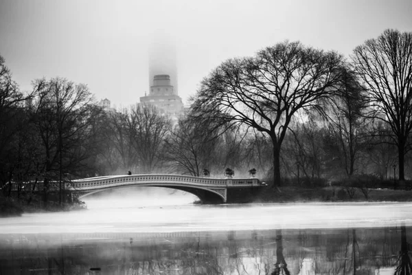 Winters Tafereel Central Park New York — Stockfoto