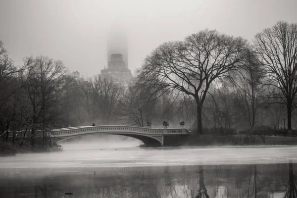 Winters Tafereel Central Park New York — Stockfoto