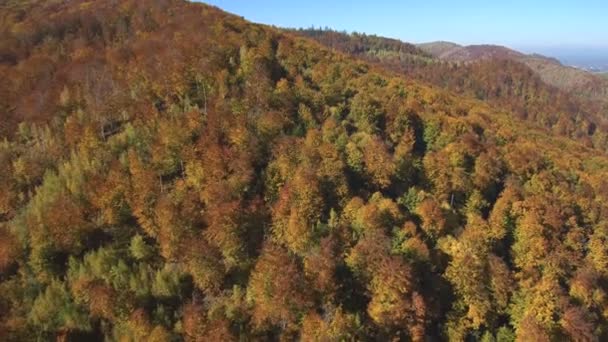 Vue aérienne du Drone : survoler la montagne en forêt et rivière . — Video