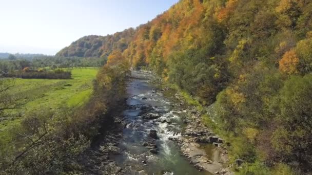 Vista aérea superior de Drone: sobrevoando a montanha com floresta e rio . — Vídeo de Stock