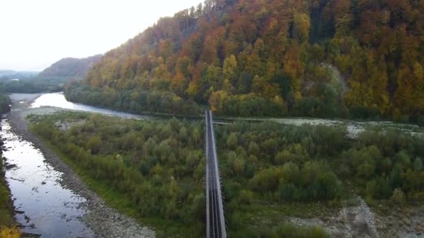 Vue aérienne de Drone : Chemin de fer à travers la rivière dans la forêt . — Video