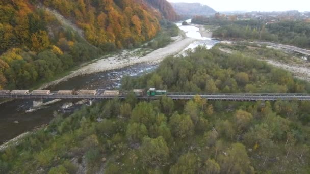 Воздух, вид сверху с Дрона: Поезд несет вырубленный лес . — стоковое видео