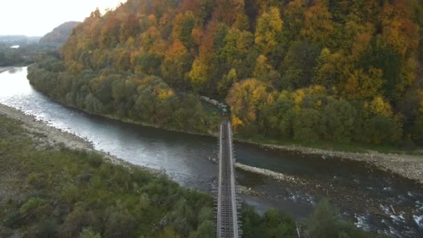 Luftaufnahme aus der Drohne: Der Zug trägt einen gefällten Wald. — Stockvideo