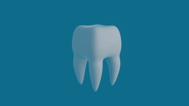 Tooth on a blue background. — Stock Video