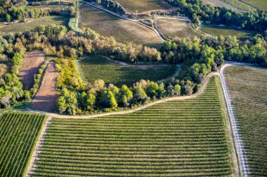 Fotos Aereas de los Viedos del Penedes en Sant Martin Sarroca en Barcelona, Espaa