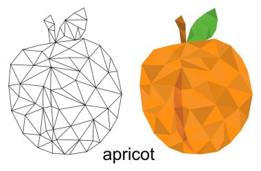 Vektör biçiminde izole edilmiş renkli çokgen kayısı meyve çizimi renklendirme mandala