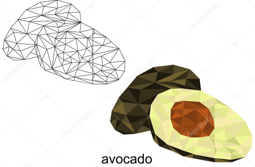 Isolated colorful polygonal avocado fruit illustartion coloring mandala in vector format