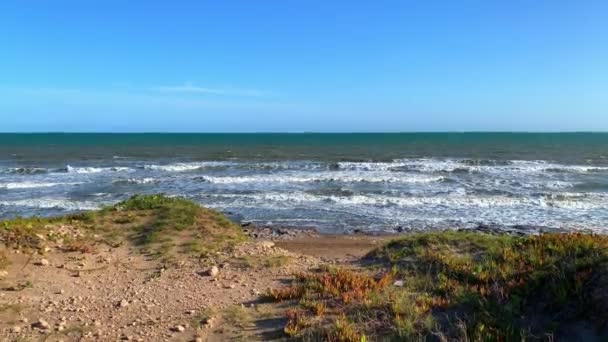 青い空と岩の多い海岸に到着する多くの波で地平線までの海の景色 — ストック動画