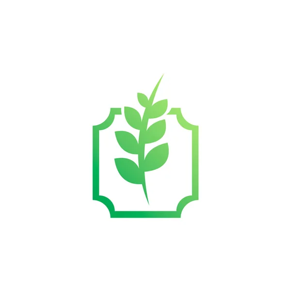 Logotipo Una Planta Con Hojas Rectángulo Estilo Clásico — Vector de stock