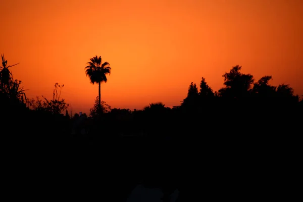 Puesta Sol Naranja Desierto Del Sahara Hermoso Paisaje Con Espacio —  Fotos de Stock