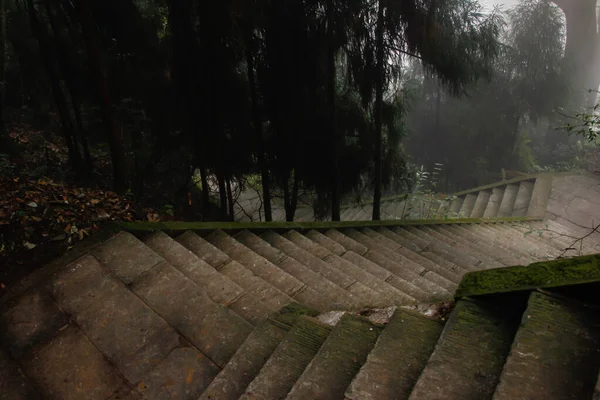 Scara Nesfârșită Care Duce Vârful Muntelui Emei Shan Faimoasă Destinație Fotografie de stoc
