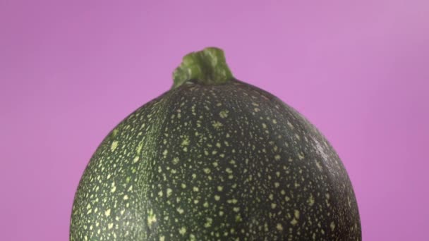 Zucchini on purple background. Creative rotating macro shot of fresh and healthy vegetable — Stock Video