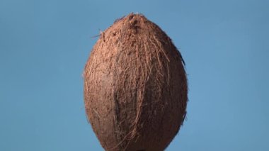 Mavi arkaplanda dönen Hindistan cevizi meyvesi