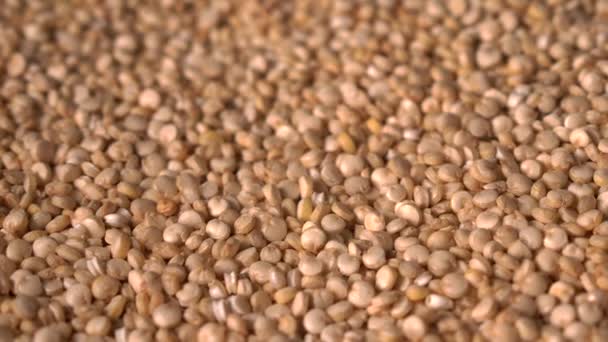 Vita Quinoa frön. Rotation Makrofotografering av supermat glutenfri pseudospannmål — Stockvideo