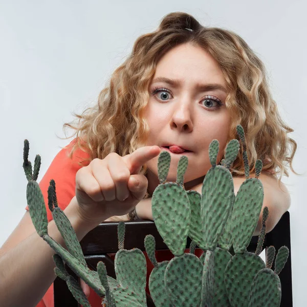 Young beautiful woman with curly hairstyle in casual t shirt smiles and holds cactus in her hands, potted green plant. Studio shot, white background. Home plants care concept