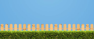 Brown  wooden fence on a clear blue sky background. Green bush or Green leaves wall in the park. Object with clipping path